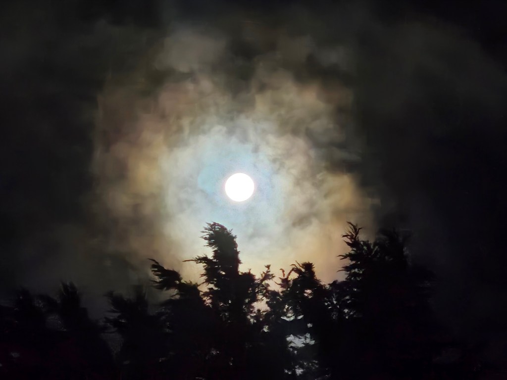 picture of the full moon, shining through the clouds, behind some trees.
